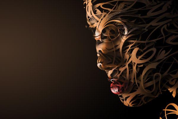 12 Face Vector Art Manipulation Images