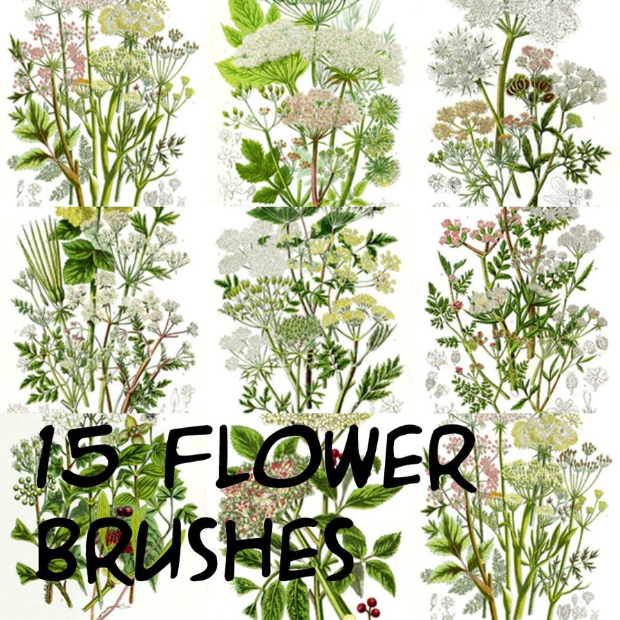 Flower Photoshop Brush