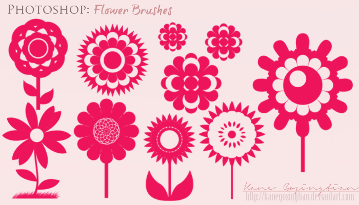 Flower Photoshop Brush