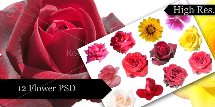 Flower PSD Flower PSD