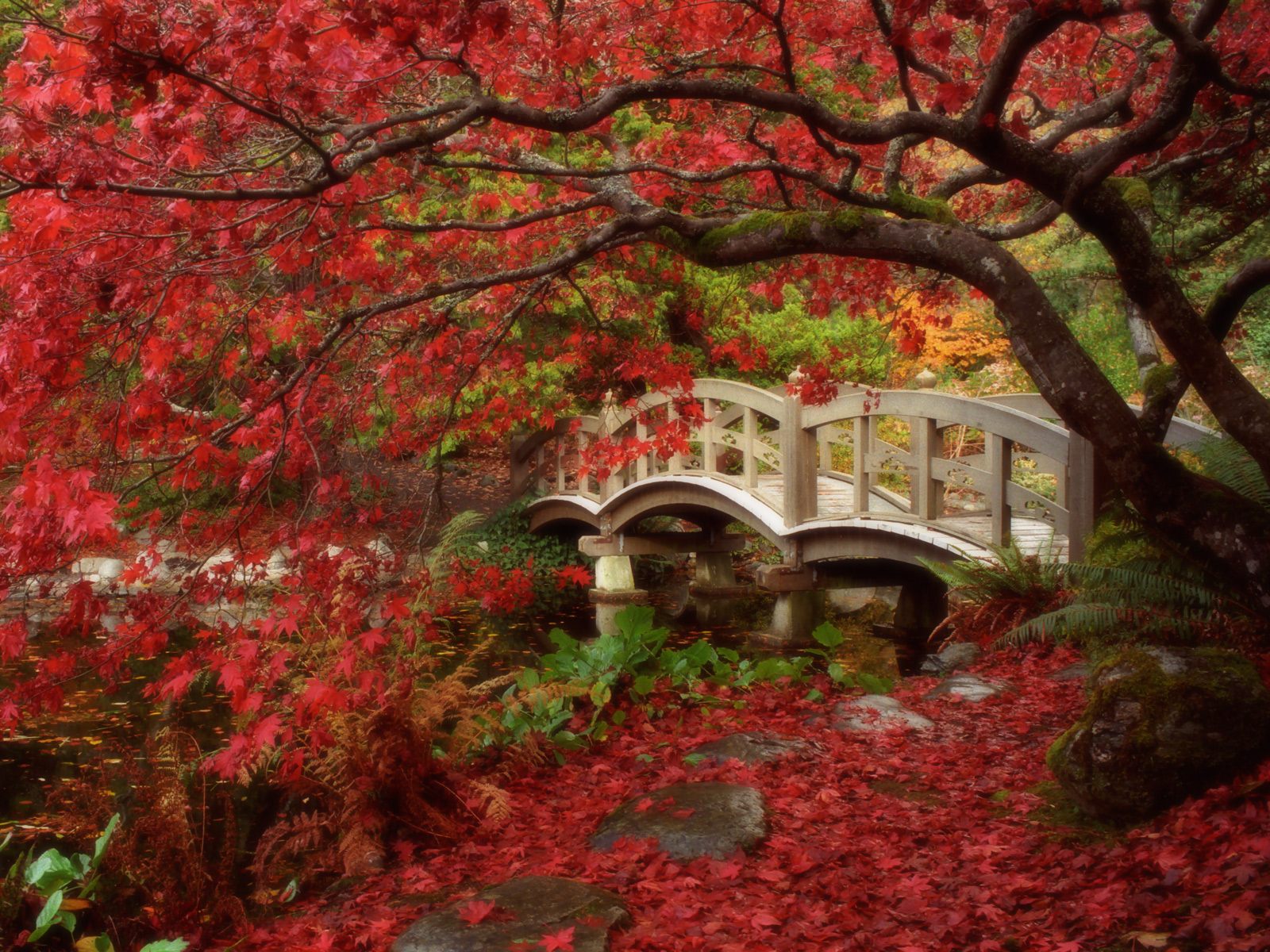 Garden British Columbia--Japanese