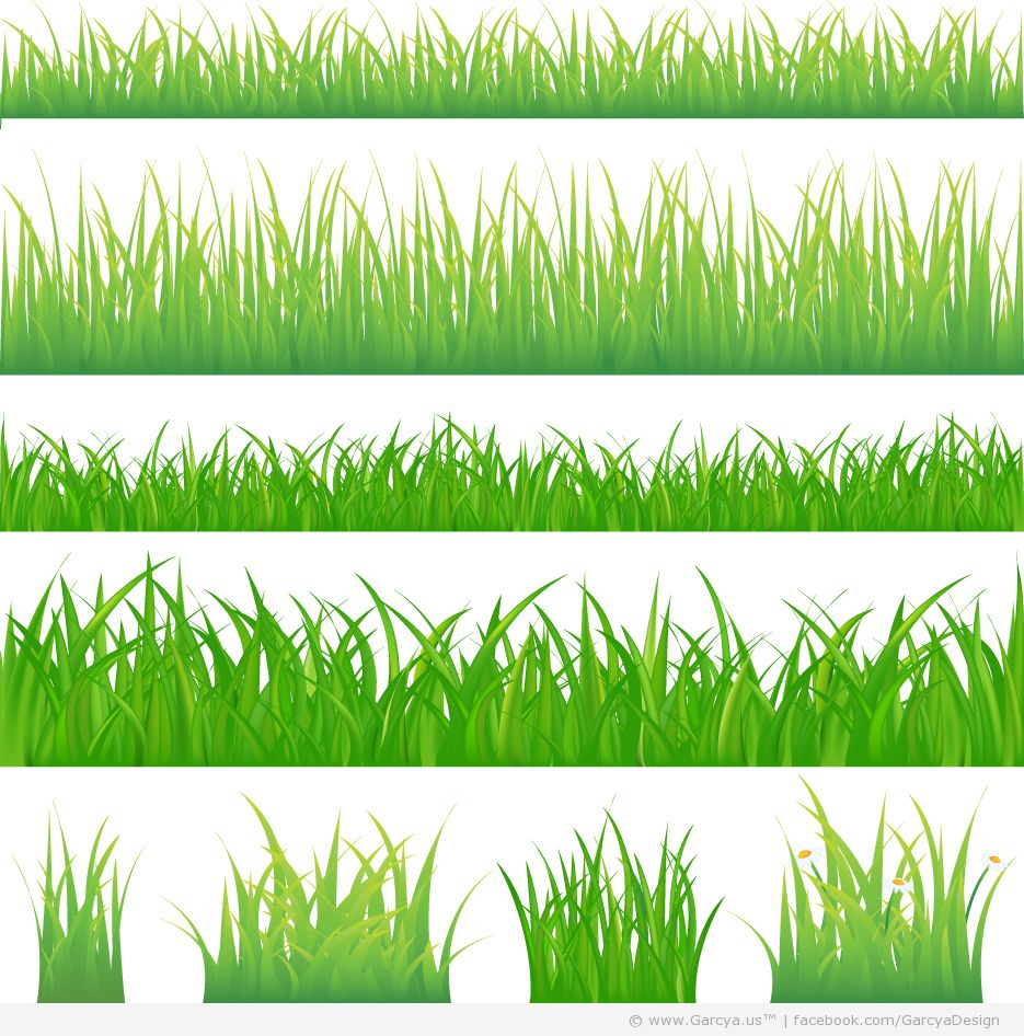 Grass Vector Art Grass Vector Art