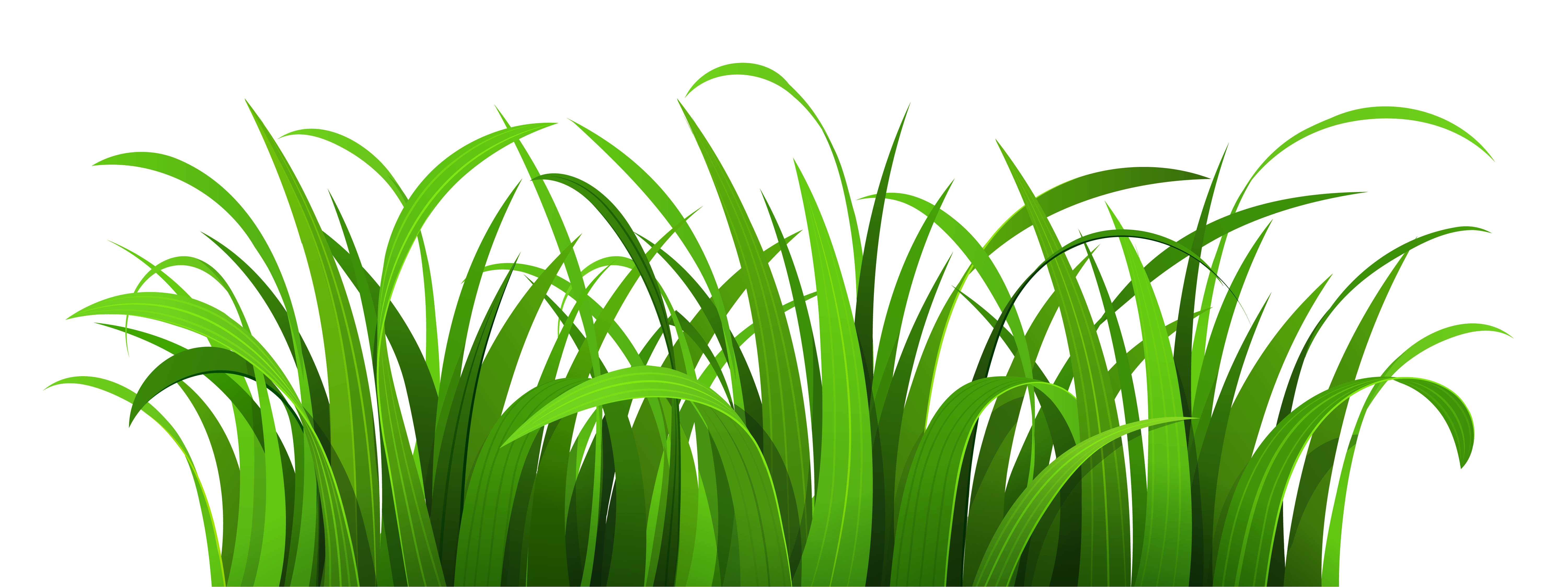 Greengrass Clip Art