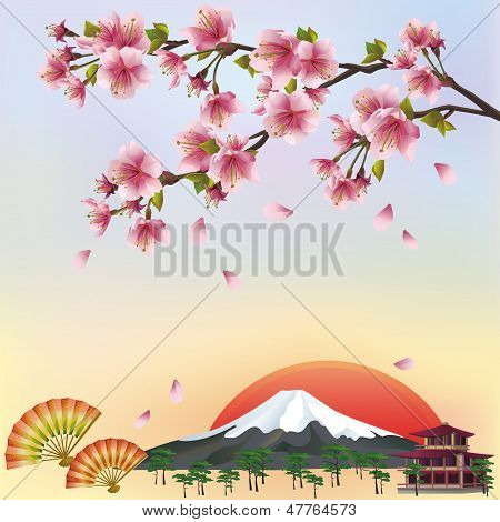 Japanese Cherry Blossom Tree Vector