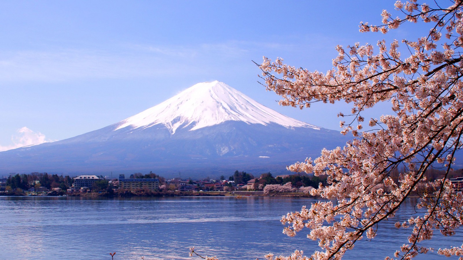 Mount Fuji Landscape