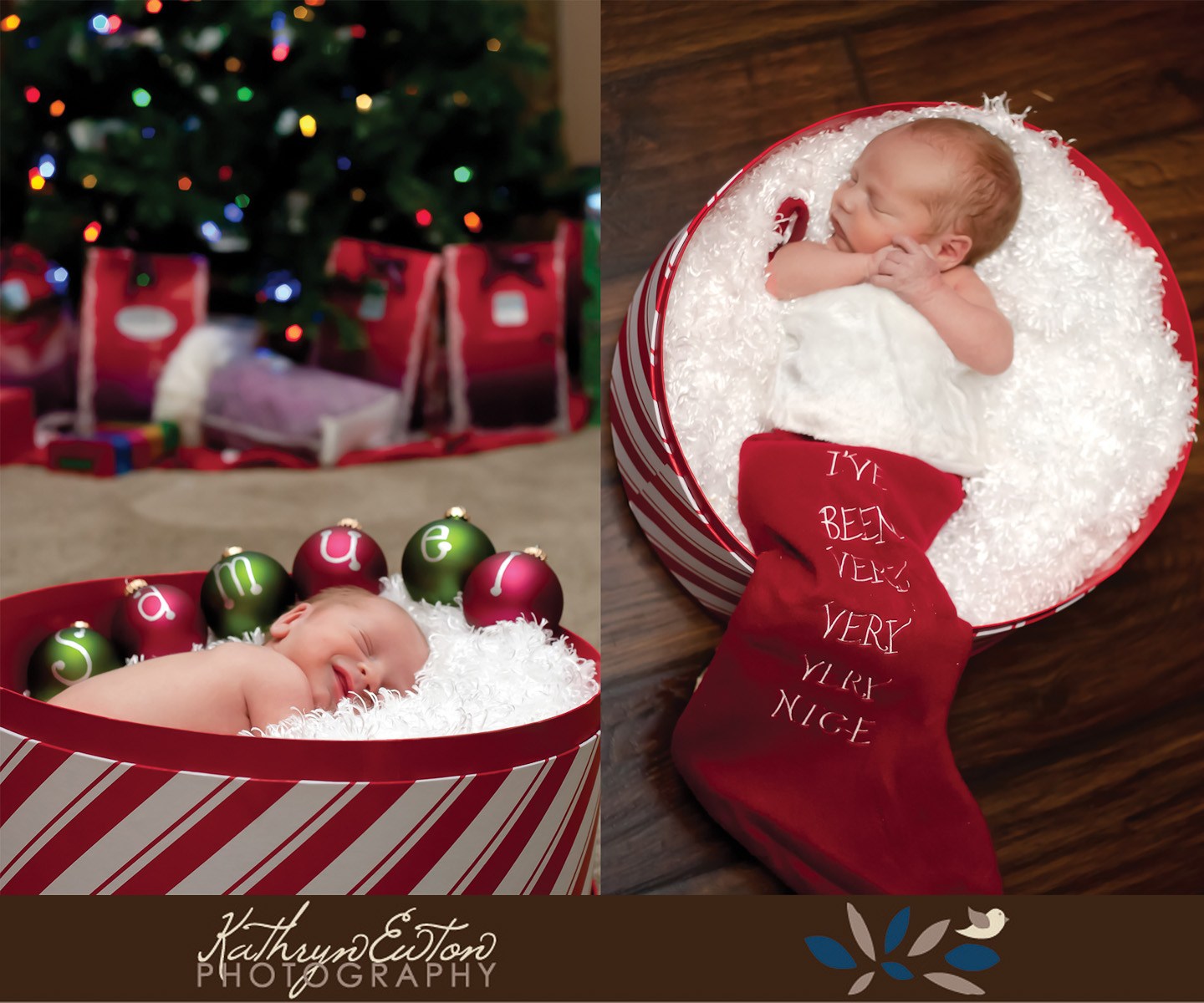 Newborn Christmas Photography