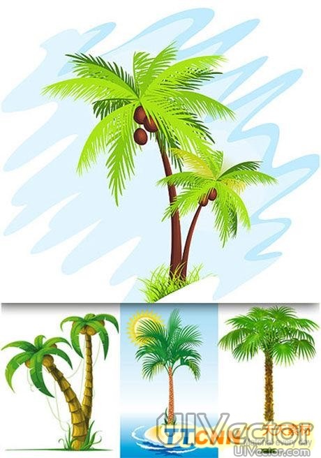 Palm Tree Vector Free