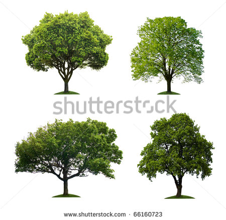 Photoshop Trees Free Download