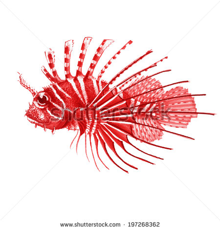 Red Fish Vector Art