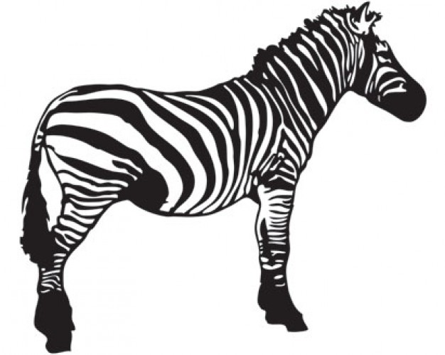 Side View Clip Art Side View Clip Art