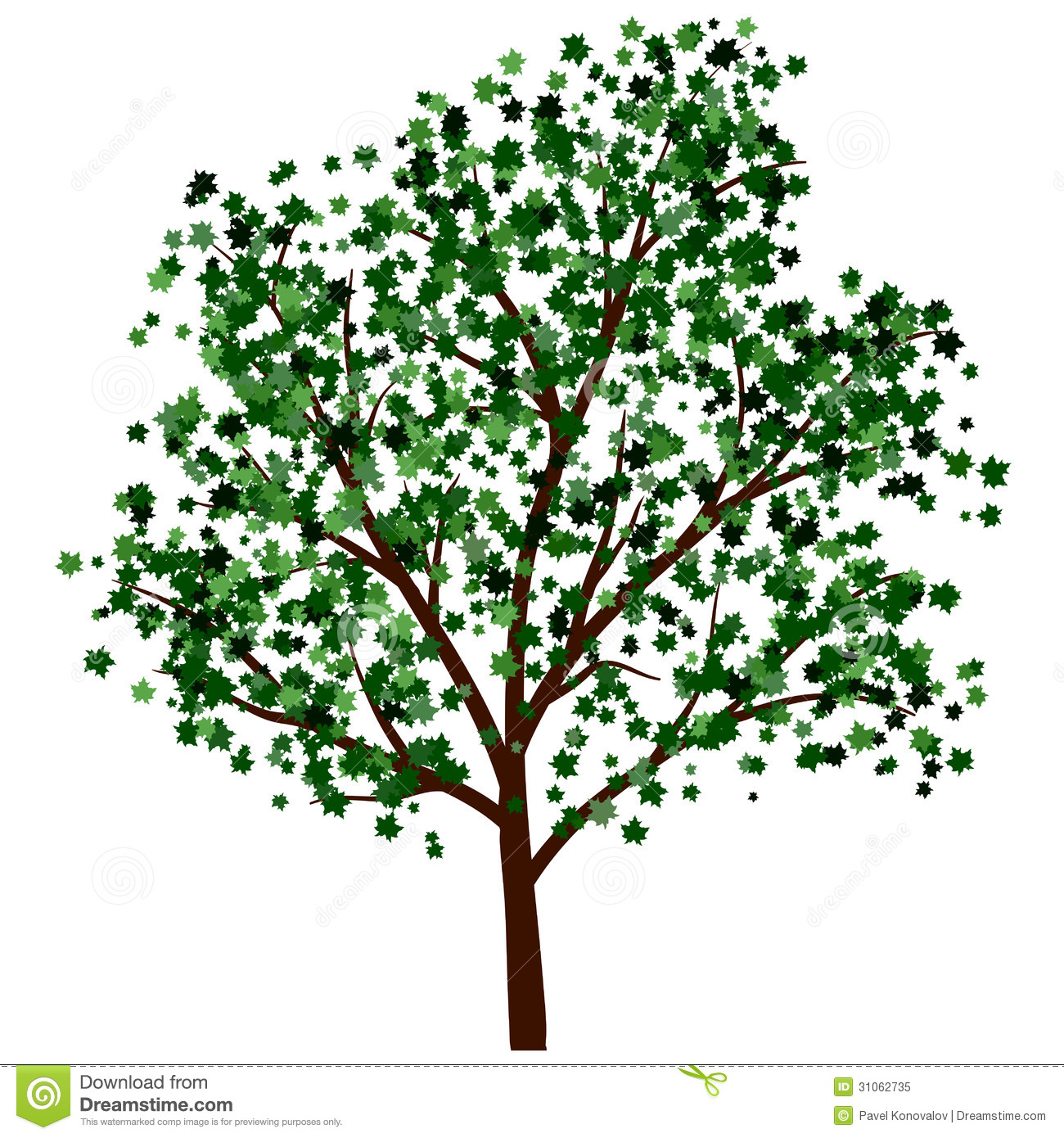 Summer Tree Illustration