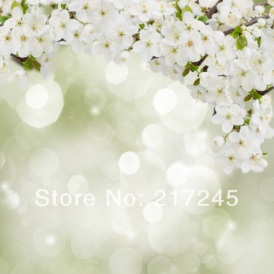 Thin Vinyl Photography Backdrop Thin Vinyl Photography Backdrop