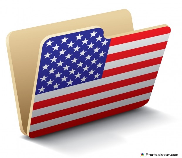 USA Flag Icon