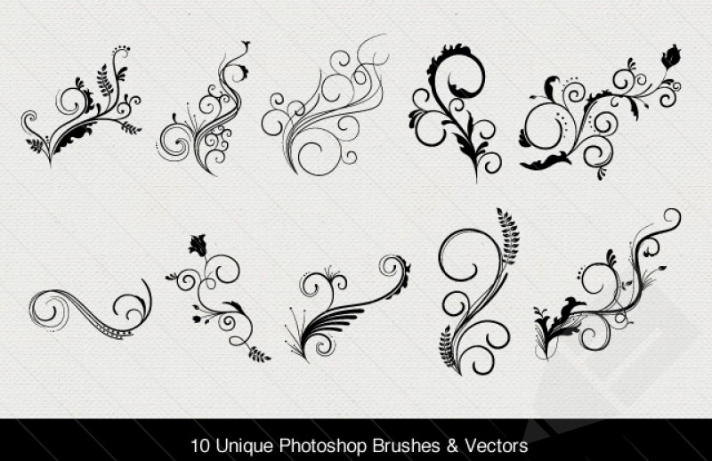 Vector Brush Swirls