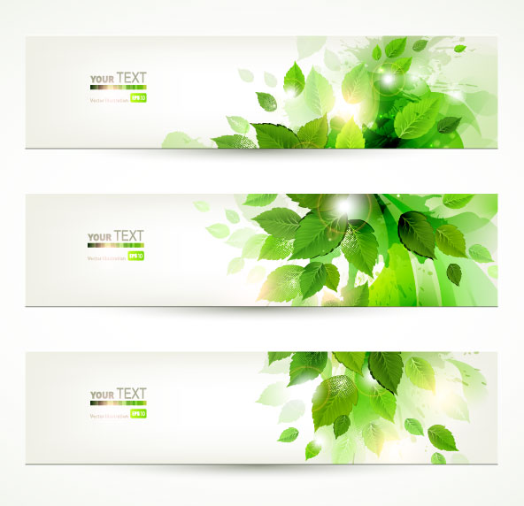 Vector Green Banner Leaves