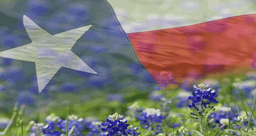 Web Design Fort Worth Web Design Fort Worth
