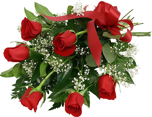 Wrapped Dozen Red Rose Bouquet