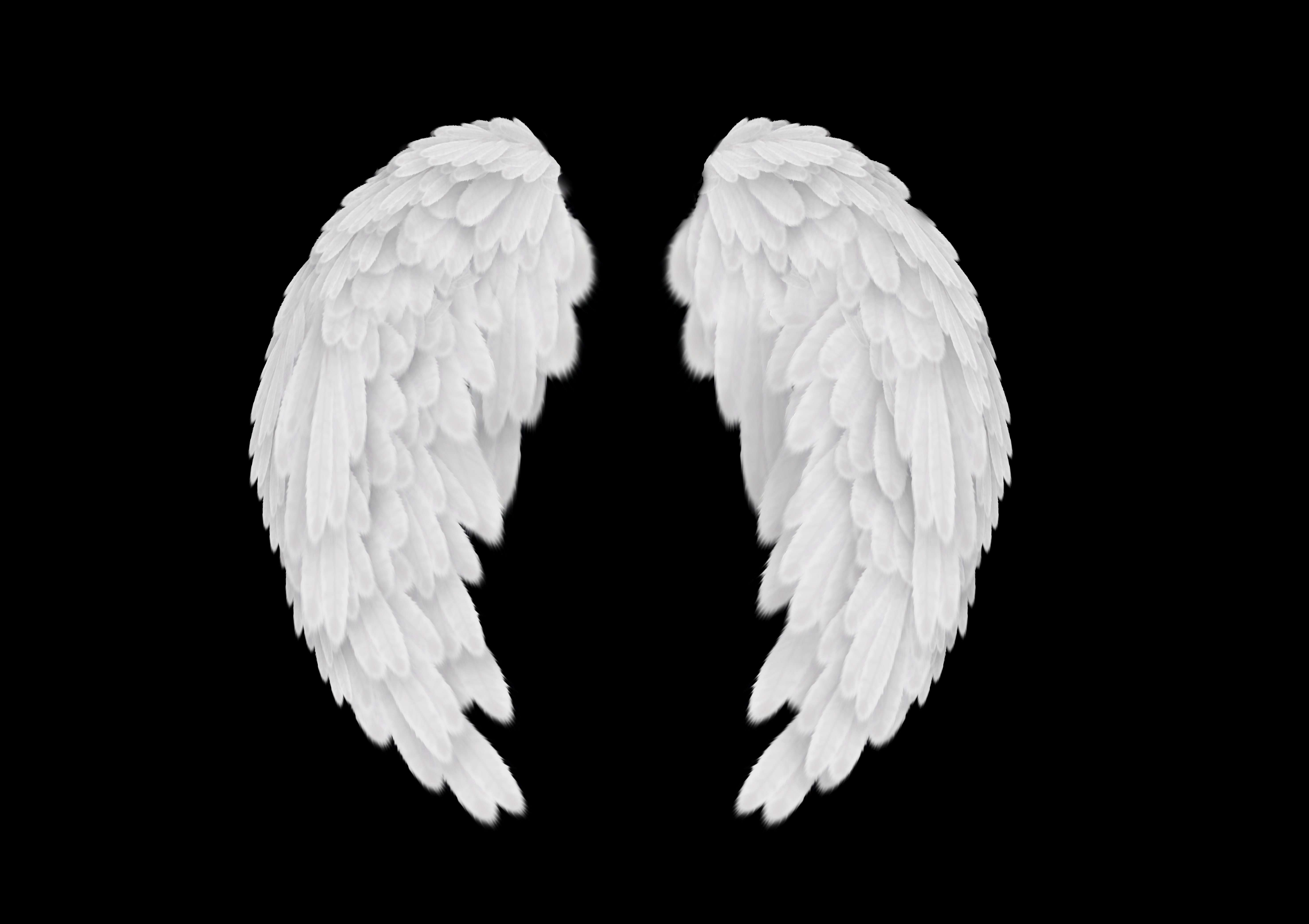 14 Real Angel Wings PSD Images