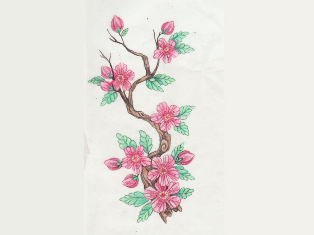 Cherry Blossom Flower Tattoo Designs