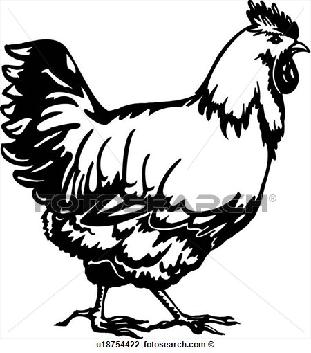 15 Animal Vector Art Chicken Images