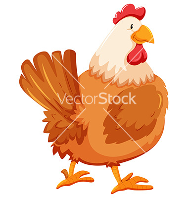 Chicken Vector Art