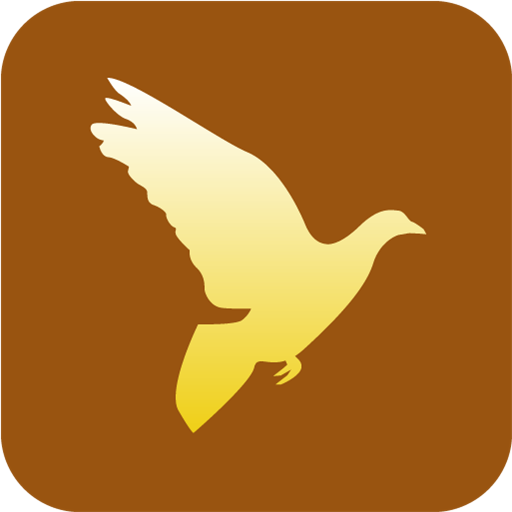 Dove Christian Religious Symbols