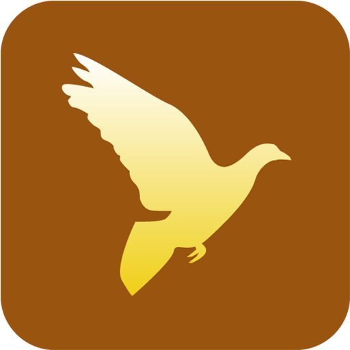 Dove Christian Religious Symbols Dove Christian Religious Symbols