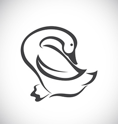 Duck Illustration Vector