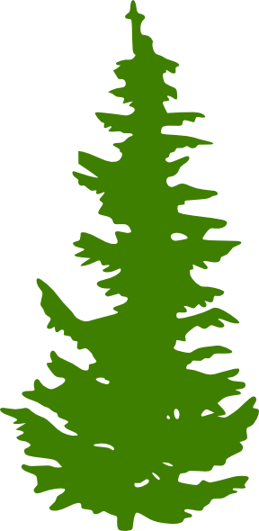 Evergreen Tree Clip Art