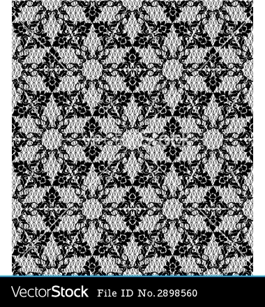 Floral Lace Pattern Vector