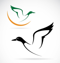 Flying Duck Vector