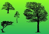Forest Trees Clip Art Free