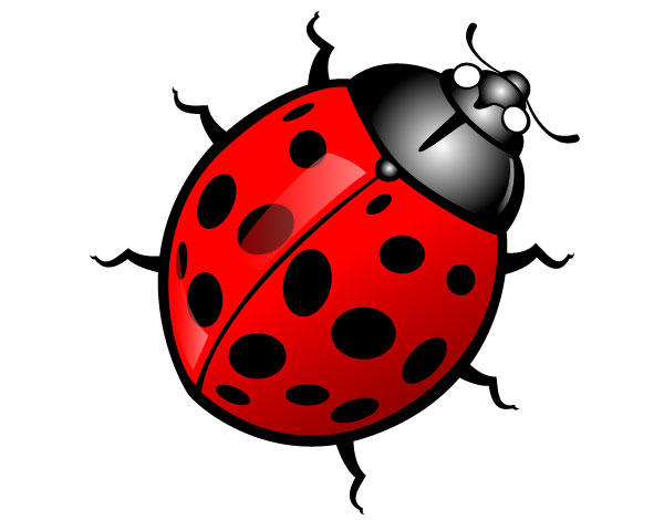 Free Insect Clip Art