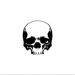 Free Skull Vector Files