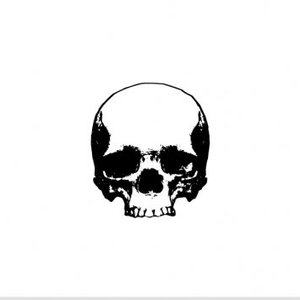 Free Skull Vector Files Free Skull Vector Files
