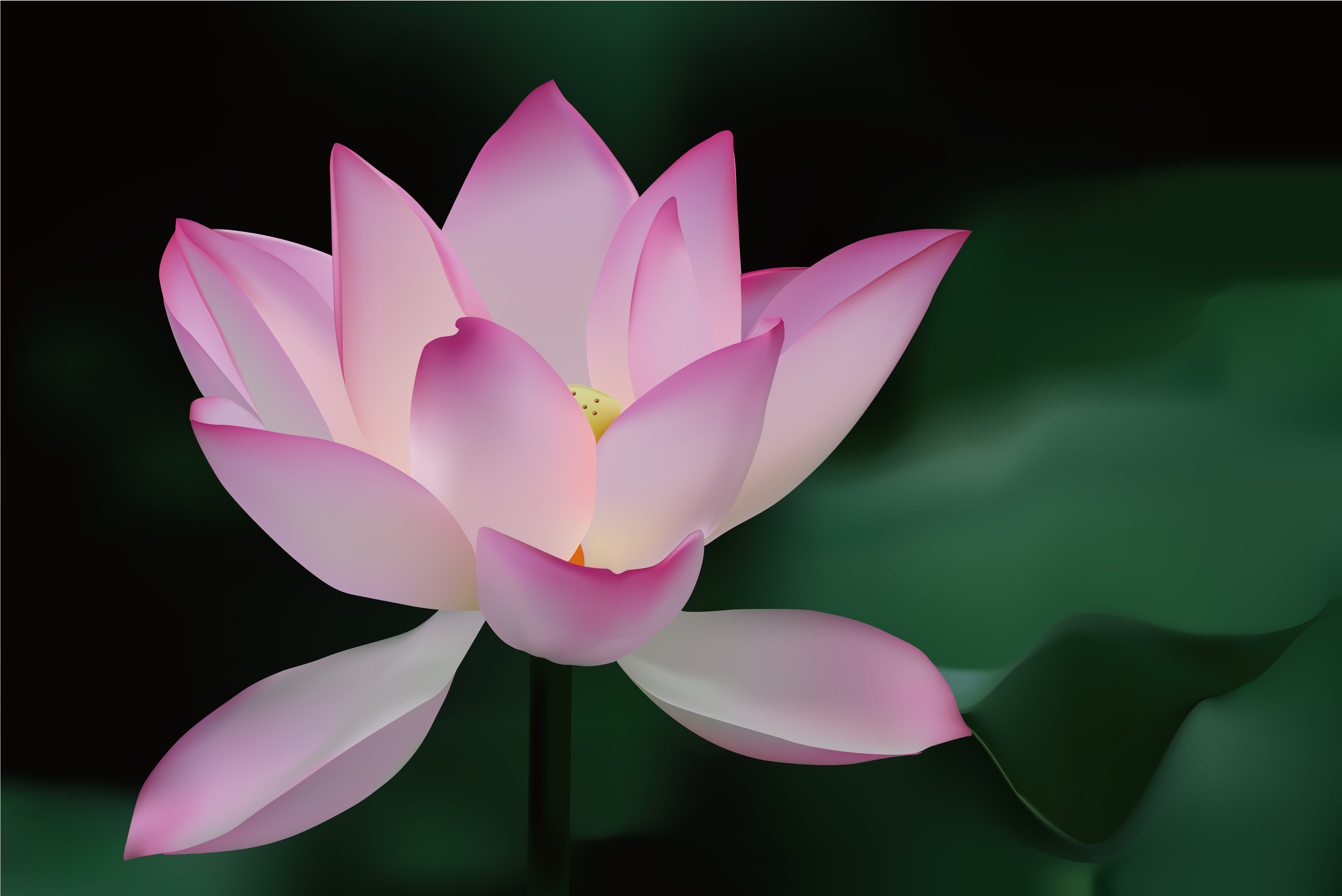 Free Vector Lotus Flower