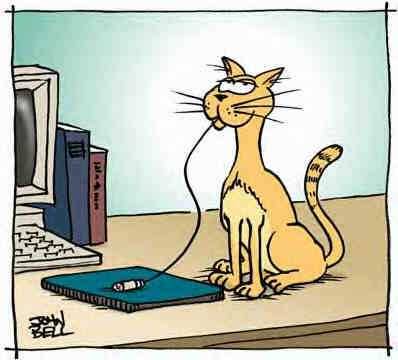 Funny Cartoon Graphics Funny Cartoon Graphics