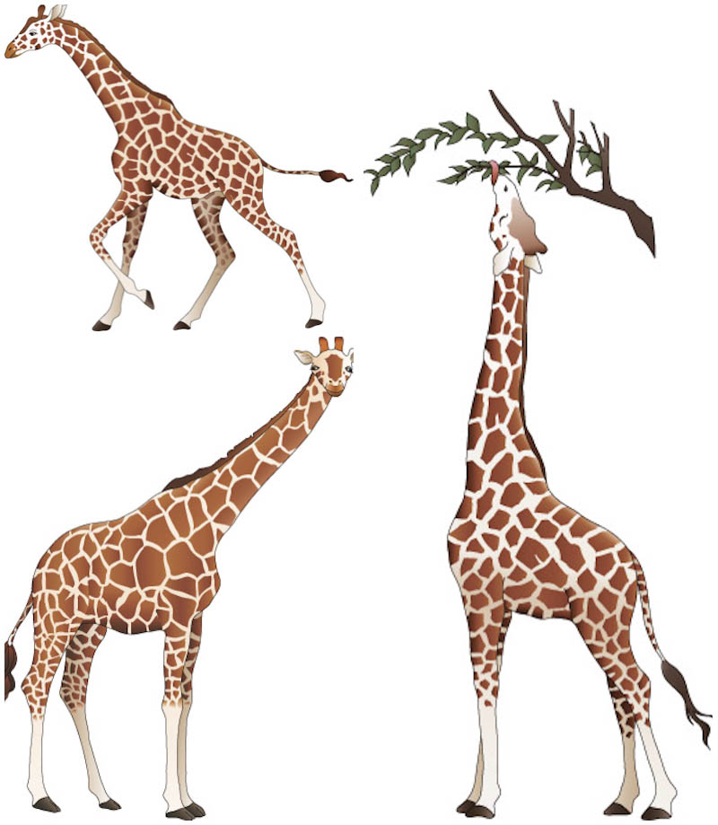 Giraffe Animal Templates