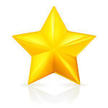 Gold Star Achievement