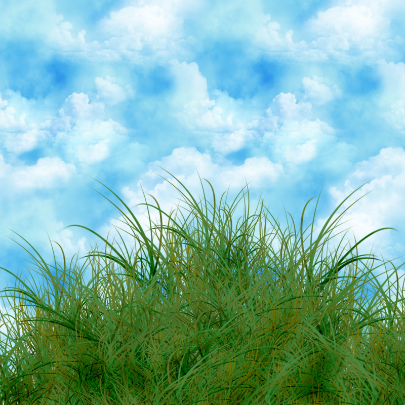 Grass PSD