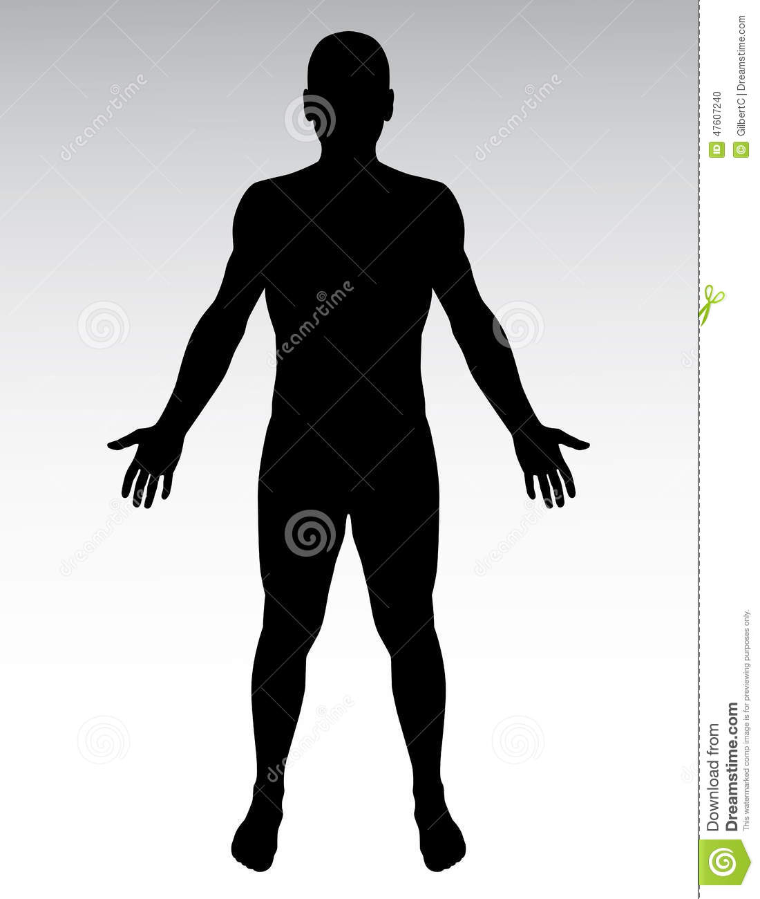 Human Body Silhouette Vector