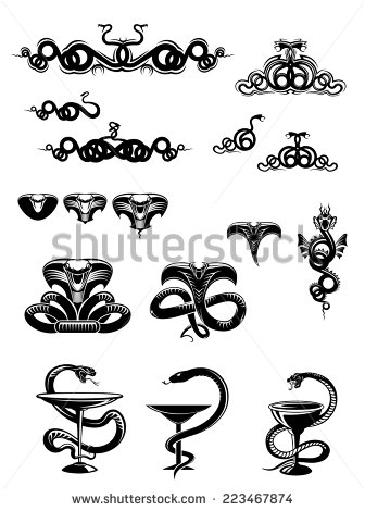 14 Vector Black And White Snake Images