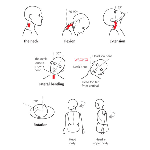 Joint Movement of Head and Neck