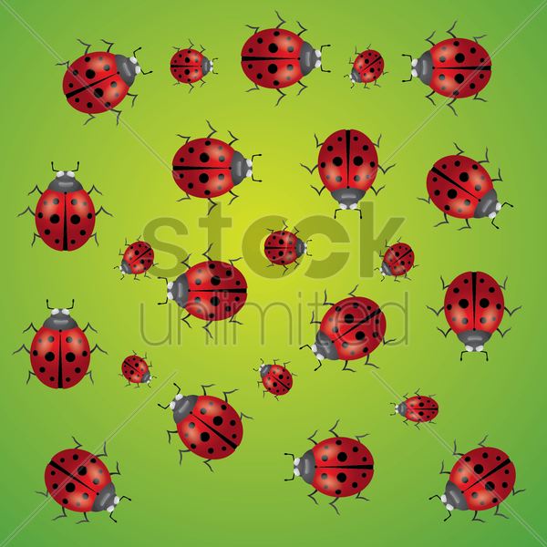 Lady Bug Vector Image