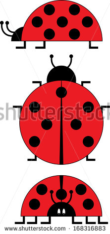 Ladybug Vector