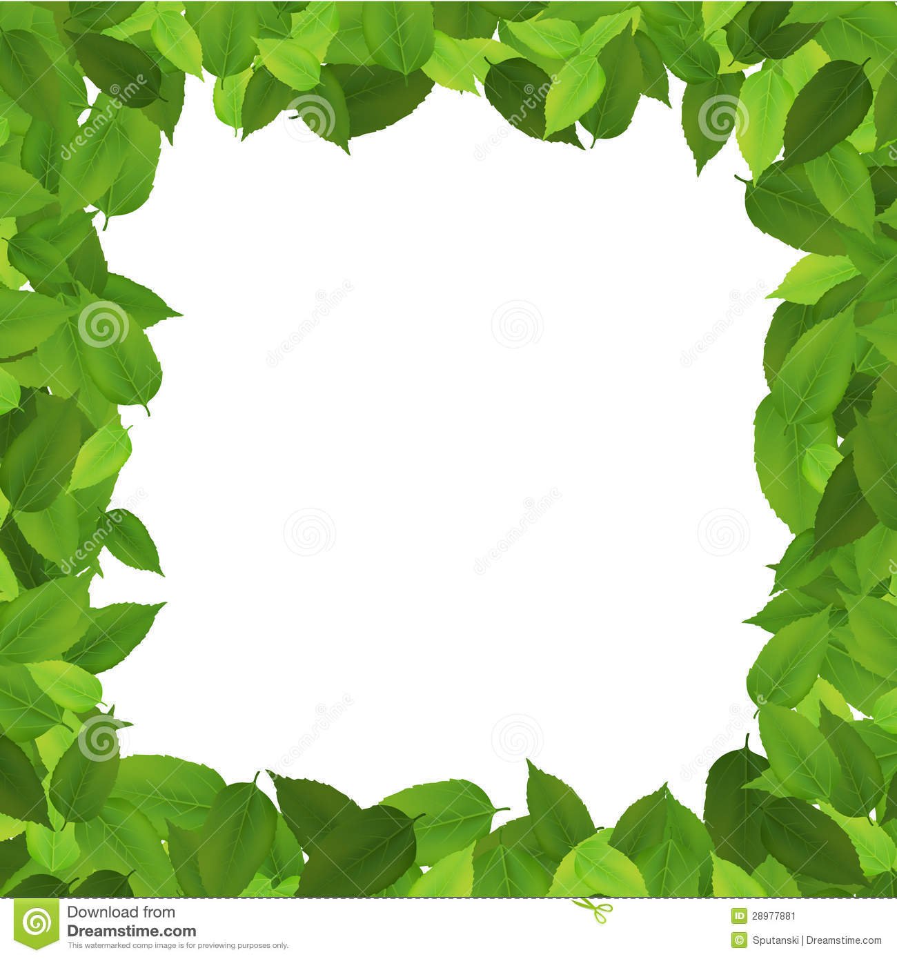 Leaf Border Leaf Border