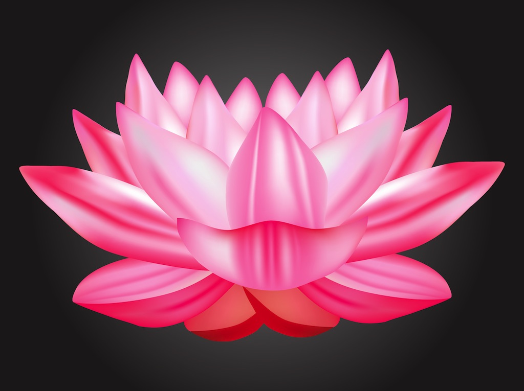 17 Lotus Flower Vector Free Images