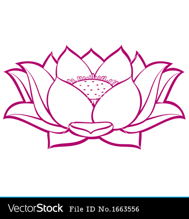 Lotus Flower Vector