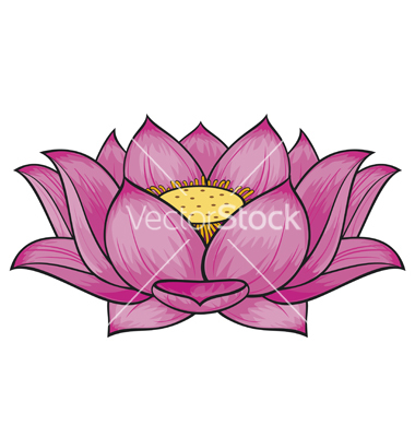 Lotus Flower Vector