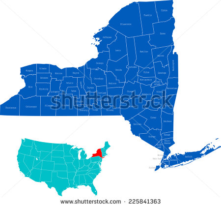 New York Map Vector